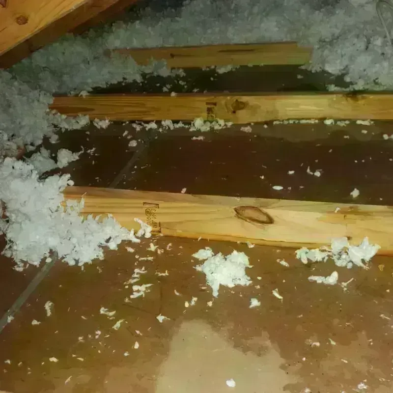 Attic Water Damage in Southborough, MA