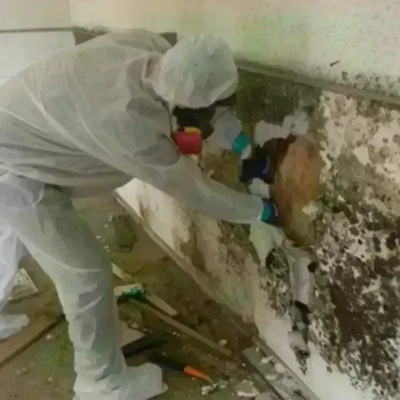 Mold Remediation and Removal in Southborough, MA